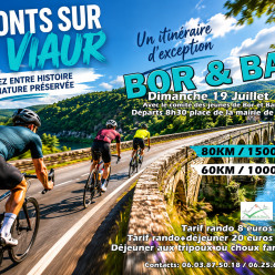 4 Ponts sur le Viaur