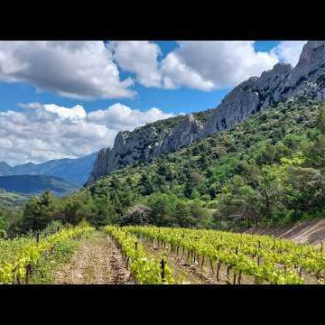 Vaison la Romaine